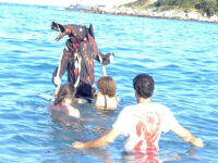 exposition collective plasticienne à Antibes-Juan Les Pins, 2009, où l'artiste peintre Elvire Parazols a pu participer avec un Vieux Loup de Mer